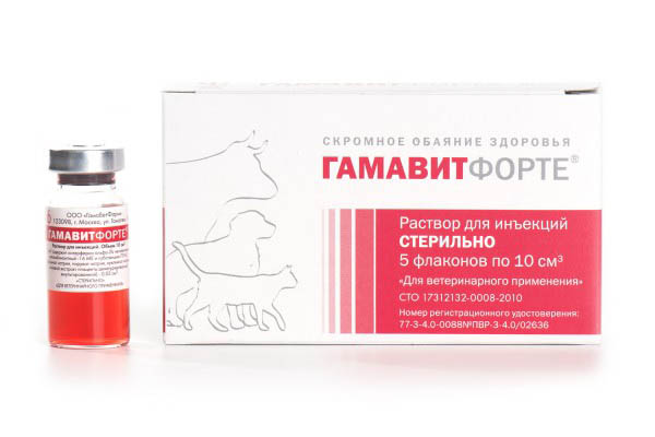 Гамавитфорте — детоксикант, иммуномодулятор и адаптоген